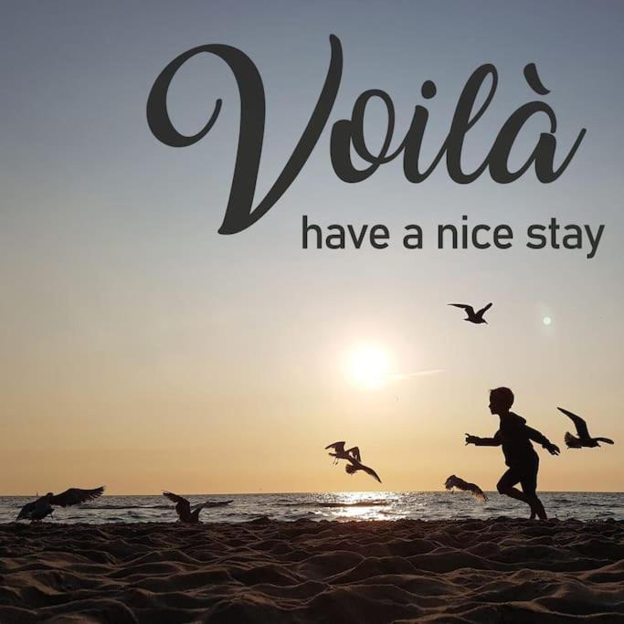 Voila! - Beach At 500M- Free Parking Noordwijk Exterior foto
